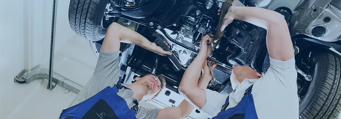 Revizie instalatie GPL